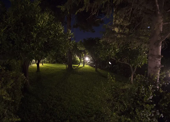 Gaudium ポンペイ